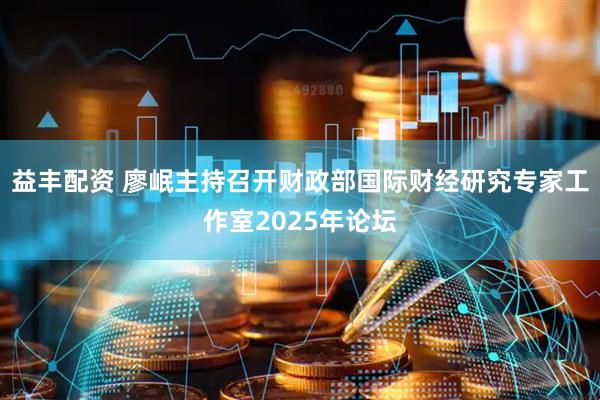 益丰配资 廖岷主持召开财政部国际财经研究专家工作室2025年论坛