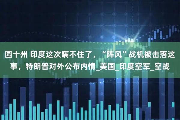 园十州 印度这次瞒不住了，“阵风”战机被击落这事，特朗普对外公布内情_美国_印度空军_空战