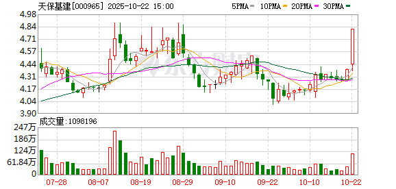 大通证券 天保基建：2025年第二次临时股东大会决议公告