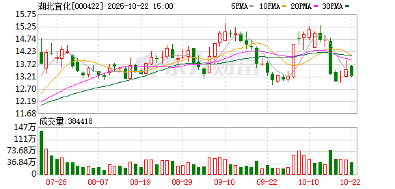 易投投 湖北宜化：第十届董事会第四十九次会议决议公告